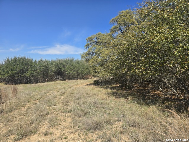 Image 6 of 19 For 237 Roy Nichols