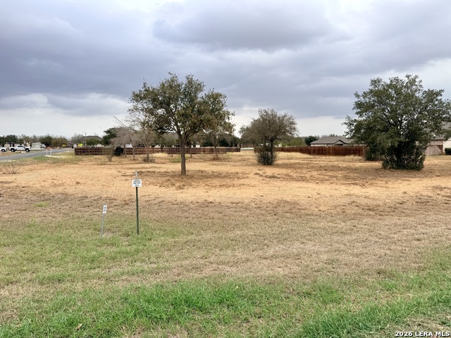 Image 4 of 7 For 160 Medium Meadow W