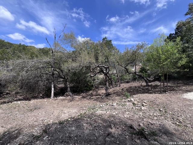 Listing photo id 22 for 1156 Deerwood