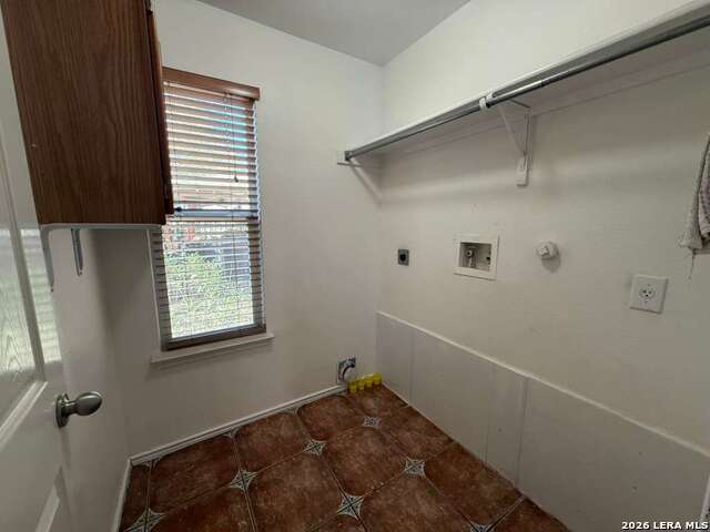 Image 13 of 43 For 4030 Alpine Aster