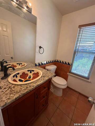 Image 14 of 43 For 4030 Alpine Aster