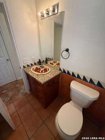 Image 15 of 43 For 4030 Alpine Aster