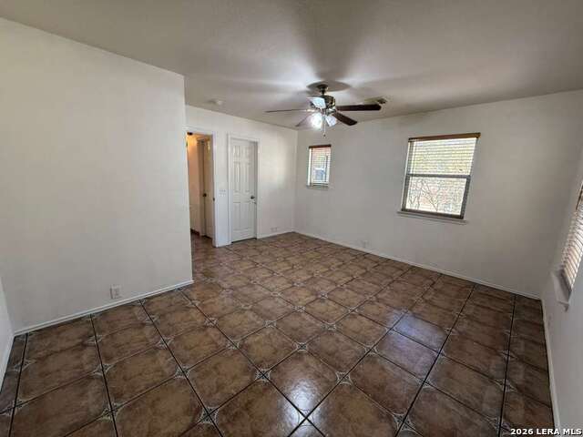 Image 19 of 43 For 4030 Alpine Aster