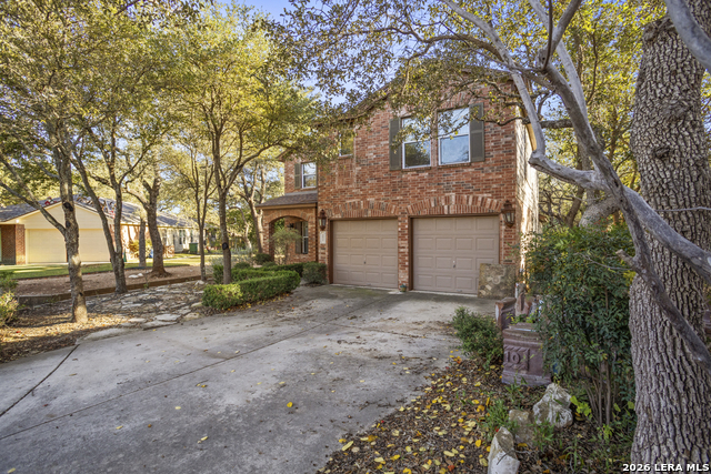 Image 2 of 43 For 4030 Alpine Aster