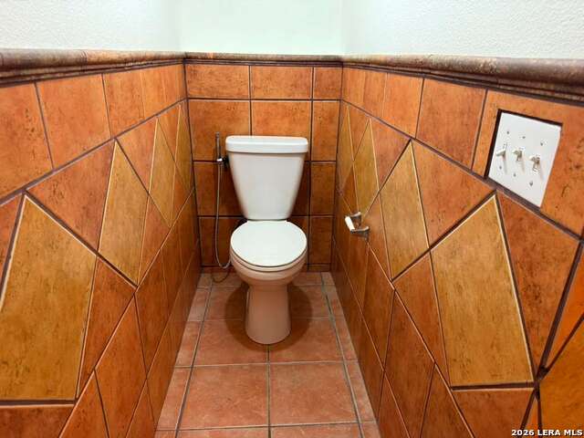 Image 23 of 43 For 4030 Alpine Aster