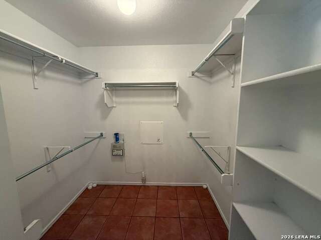 Image 24 of 43 For 4030 Alpine Aster