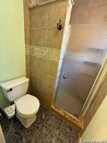 Image 27 of 43 For 4030 Alpine Aster