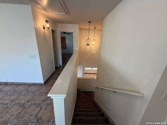 Image 28 of 43 For 4030 Alpine Aster