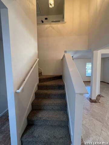 Image 29 of 43 For 4030 Alpine Aster