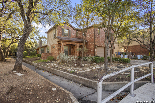 Image 3 of 43 For 4030 Alpine Aster