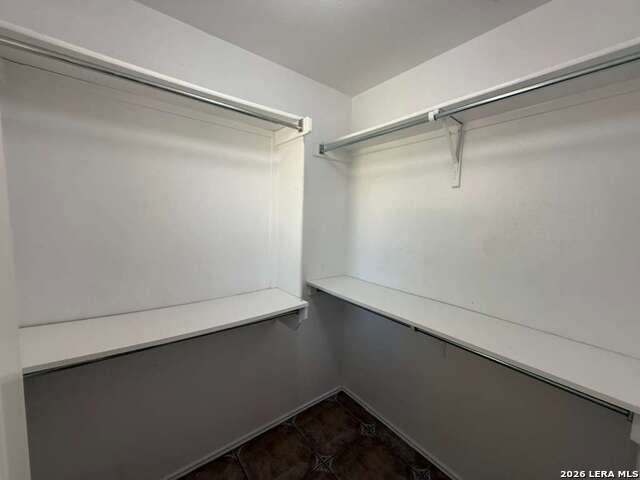 Image 36 of 43 For 4030 Alpine Aster