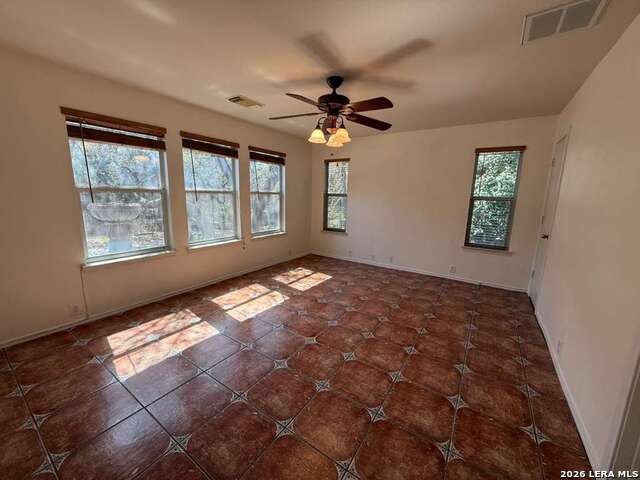 Image 39 of 43 For 4030 Alpine Aster