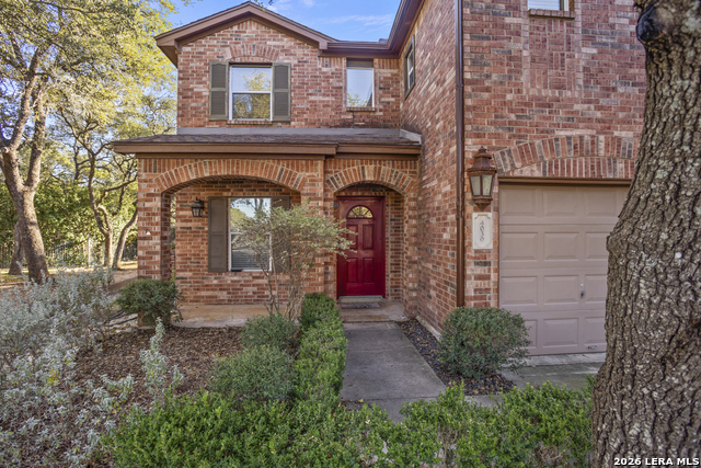 Image 4 of 43 For 4030 Alpine Aster