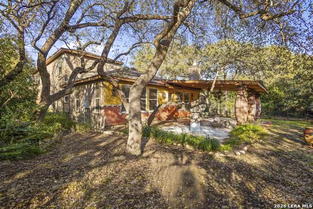 Image 41 of 43 For 4030 Alpine Aster