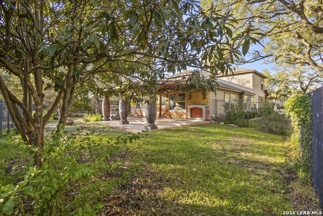 Image 43 of 43 For 4030 Alpine Aster