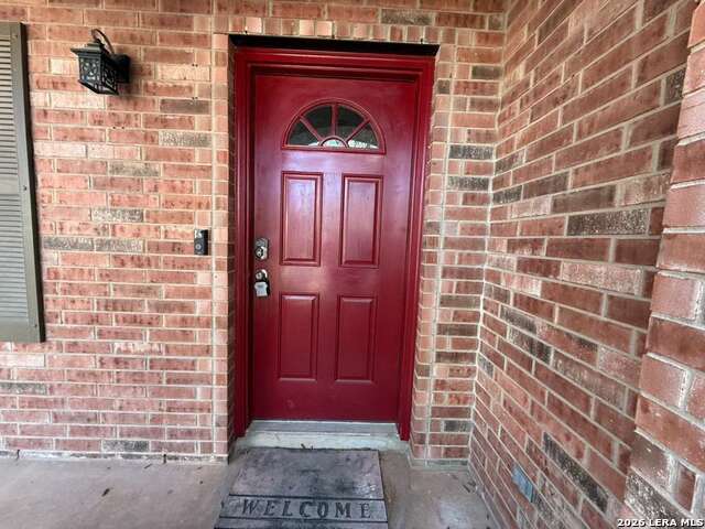 Image 5 of 43 For 4030 Alpine Aster