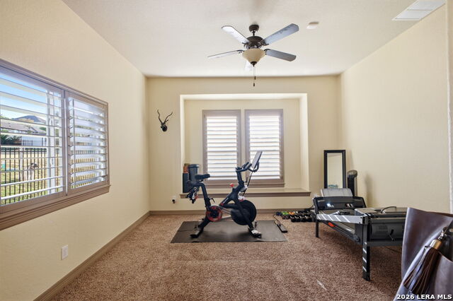 Image 34 of 48 For 25215 Wild Sage