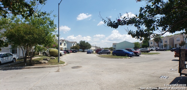 Image 12 of 12 For 19 Autumn Pass  19