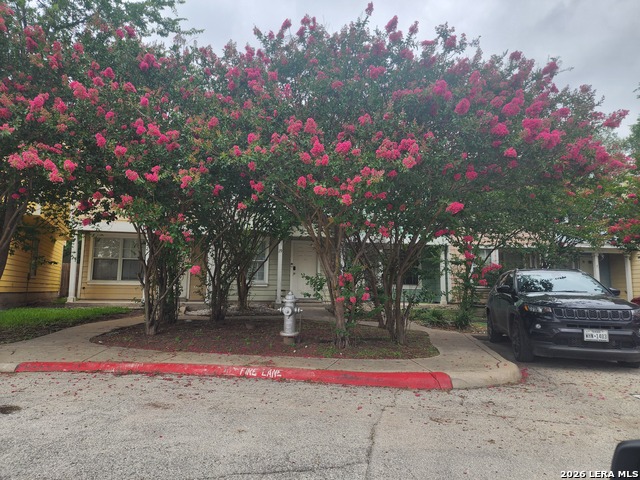 Image 2 of 12 For 19 Autumn Pass  19