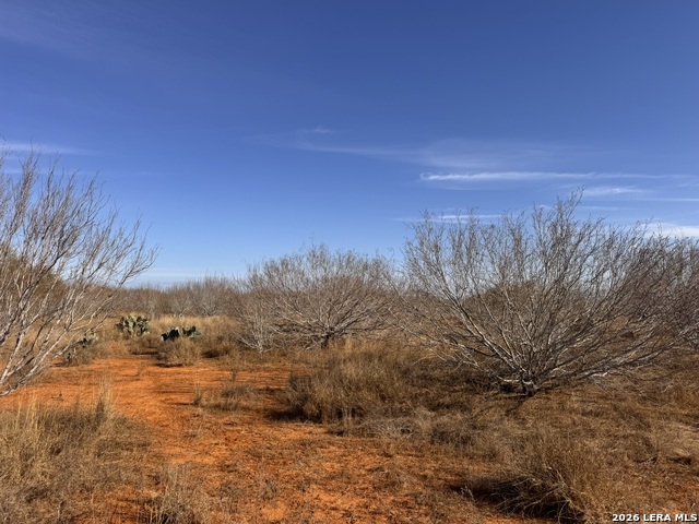 Image 3 of 13 For Tr 1 Highway 85 W