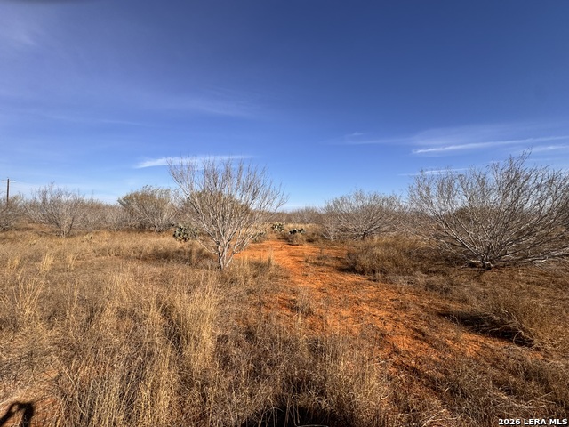 Image 4 of 13 For Tr 1 Highway 85 W