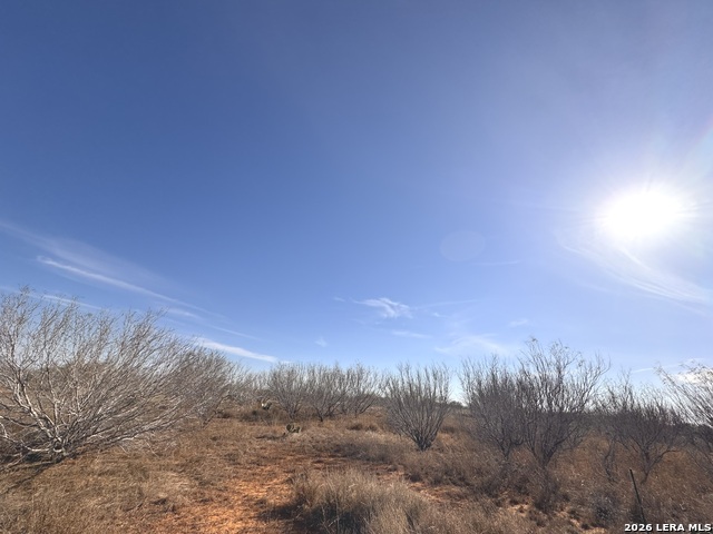 Image 5 of 13 For Tr 1 Highway 85 W