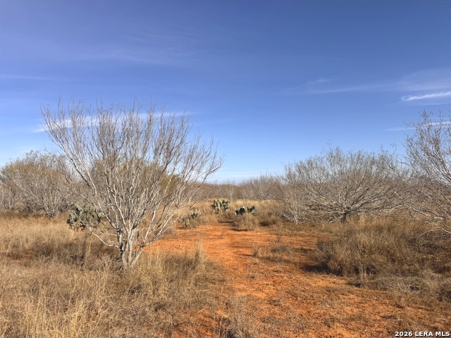 Image 6 of 13 For Tr 1 Highway 85 W
