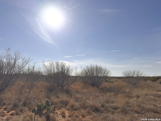 Image 7 of 13 For Tr 1 Highway 85 W