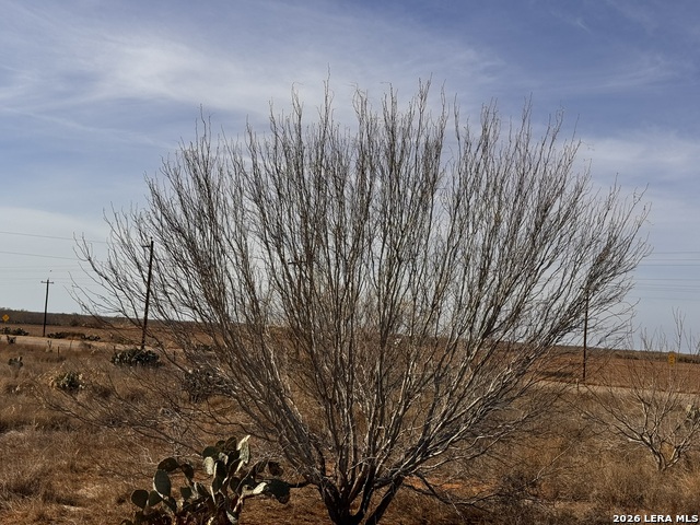 Image 8 of 13 For Tr 1 Highway 85 W