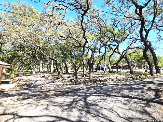 Image 41 of 55 For 9349 Blazing Star