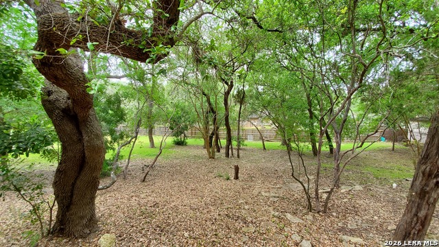 Image 45 of 55 For 9349 Blazing Star