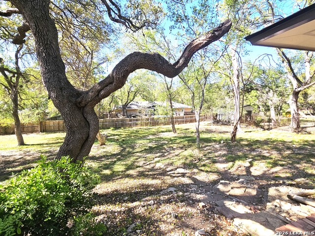 Image 49 of 55 For 9349 Blazing Star