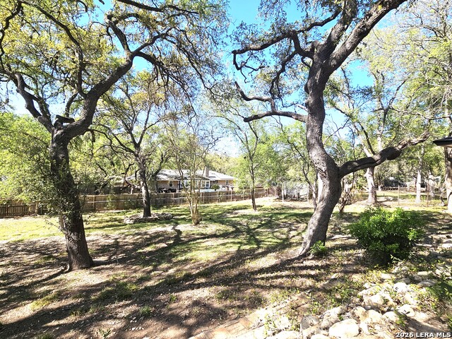 Image 52 of 55 For 9349 Blazing Star