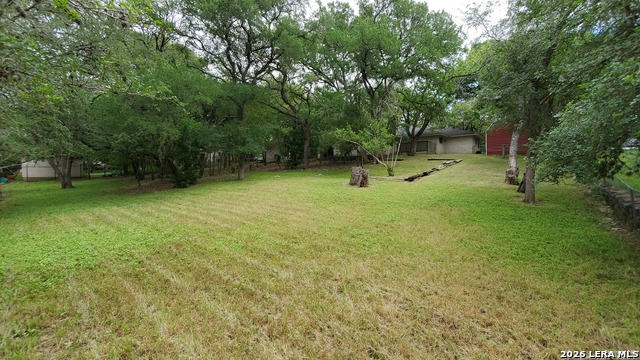 Image 53 of 55 For 9349 Blazing Star