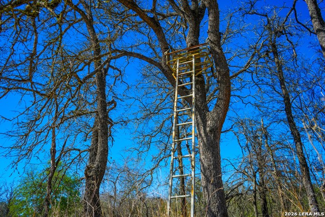 Listing photo id 8 for 9521 Fm 1303