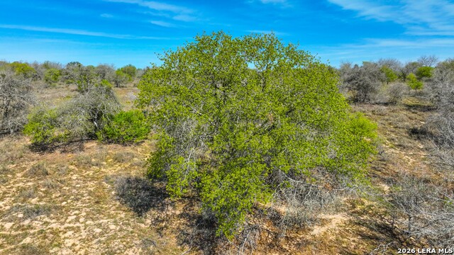 Listing photo id 9 for 9521 Fm 1303