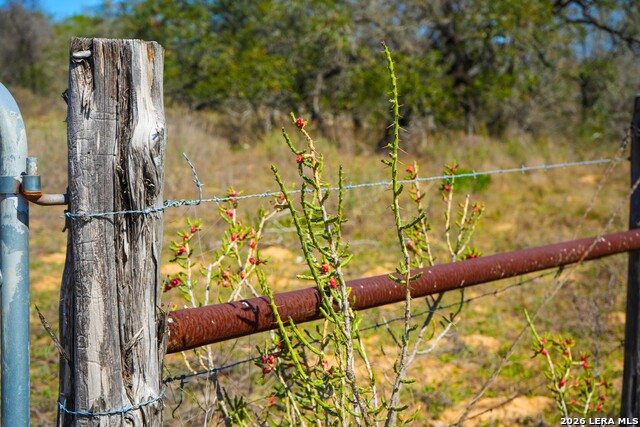 Listing photo id 11 for 9521 Fm 1303