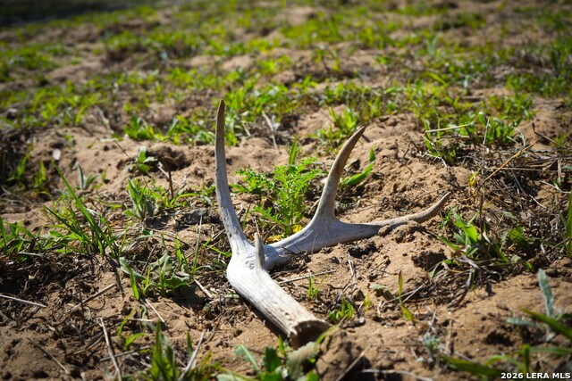 Listing photo id 14 for 9521 Fm 1303