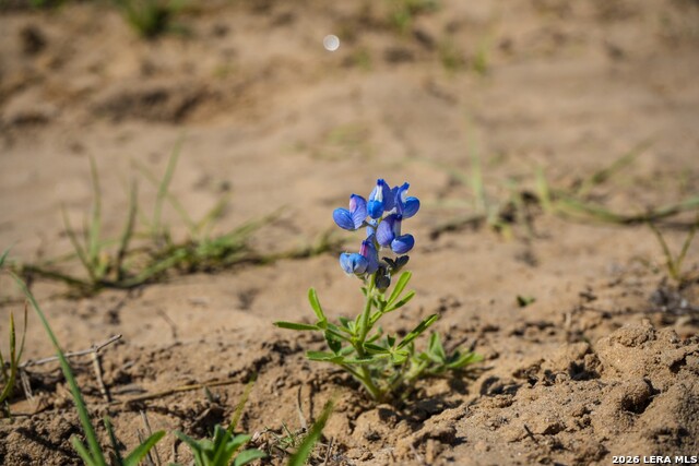 Listing photo id 15 for 9521 Fm 1303