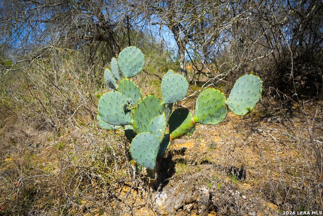 Listing photo id 16 for 9521 Fm 1303