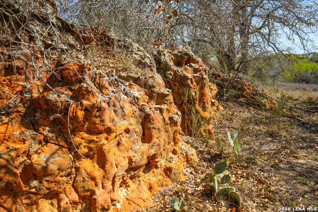 Listing photo id 18 for 9521 Fm 1303