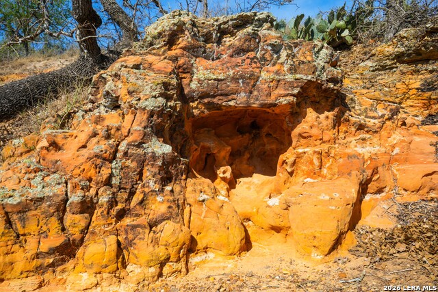 Listing photo id 19 for 9521 Fm 1303