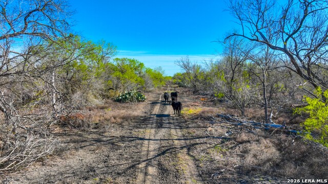 Listing photo id 3 for 9521 Fm 1303