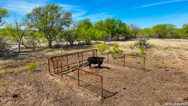 Listing photo id 4 for 9521 Fm 1303