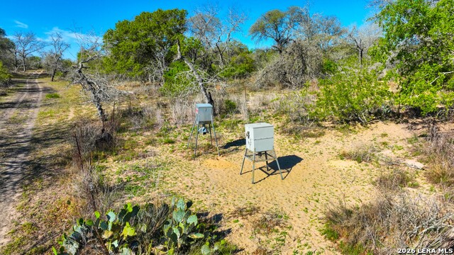 Listing photo id 7 for 9521 Fm 1303