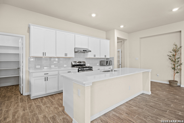 Image 11 of 31 For 15227 Maskette