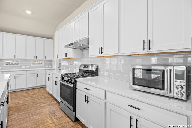 Image 13 of 31 For 15227 Maskette