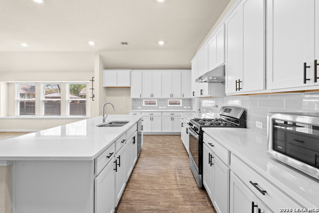 Image 14 of 31 For 15227 Maskette