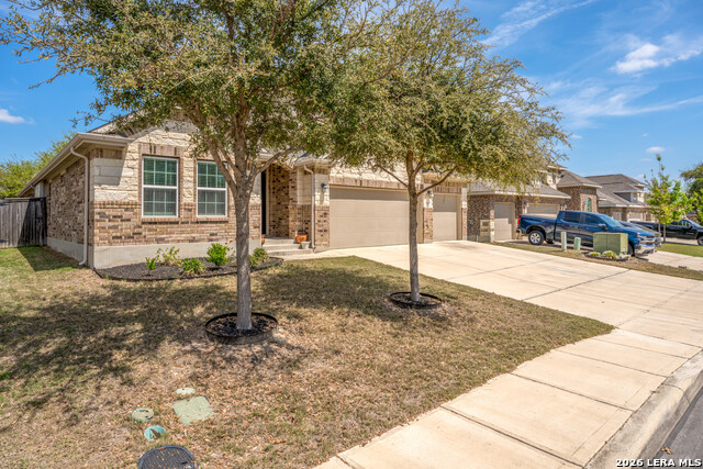 Image 3 of 31 For 15227 Maskette