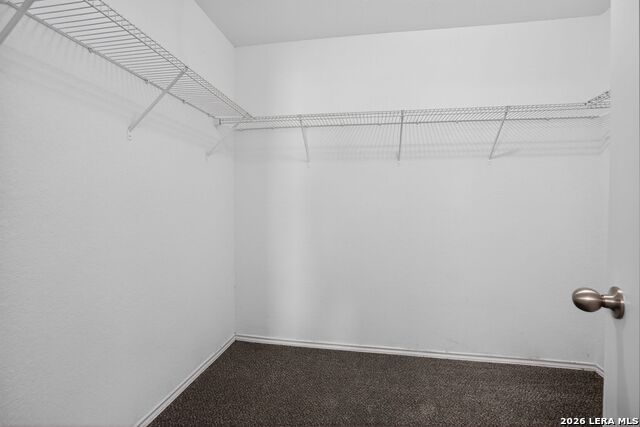 Image 25 of 32 For 10407 Lupine